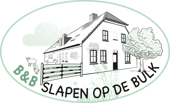 252174 Slapen op de Bulk logo DEF