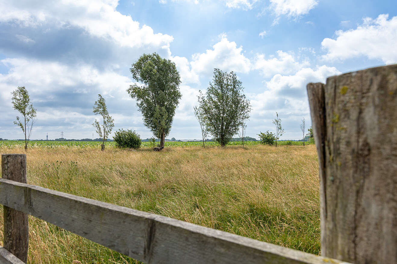 Angela van Dongen B&B en omgeving 11 KL
