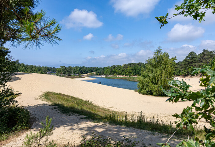 Inzet Omgeving