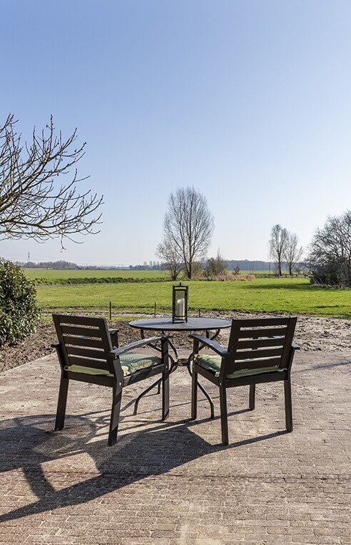 Terras #2